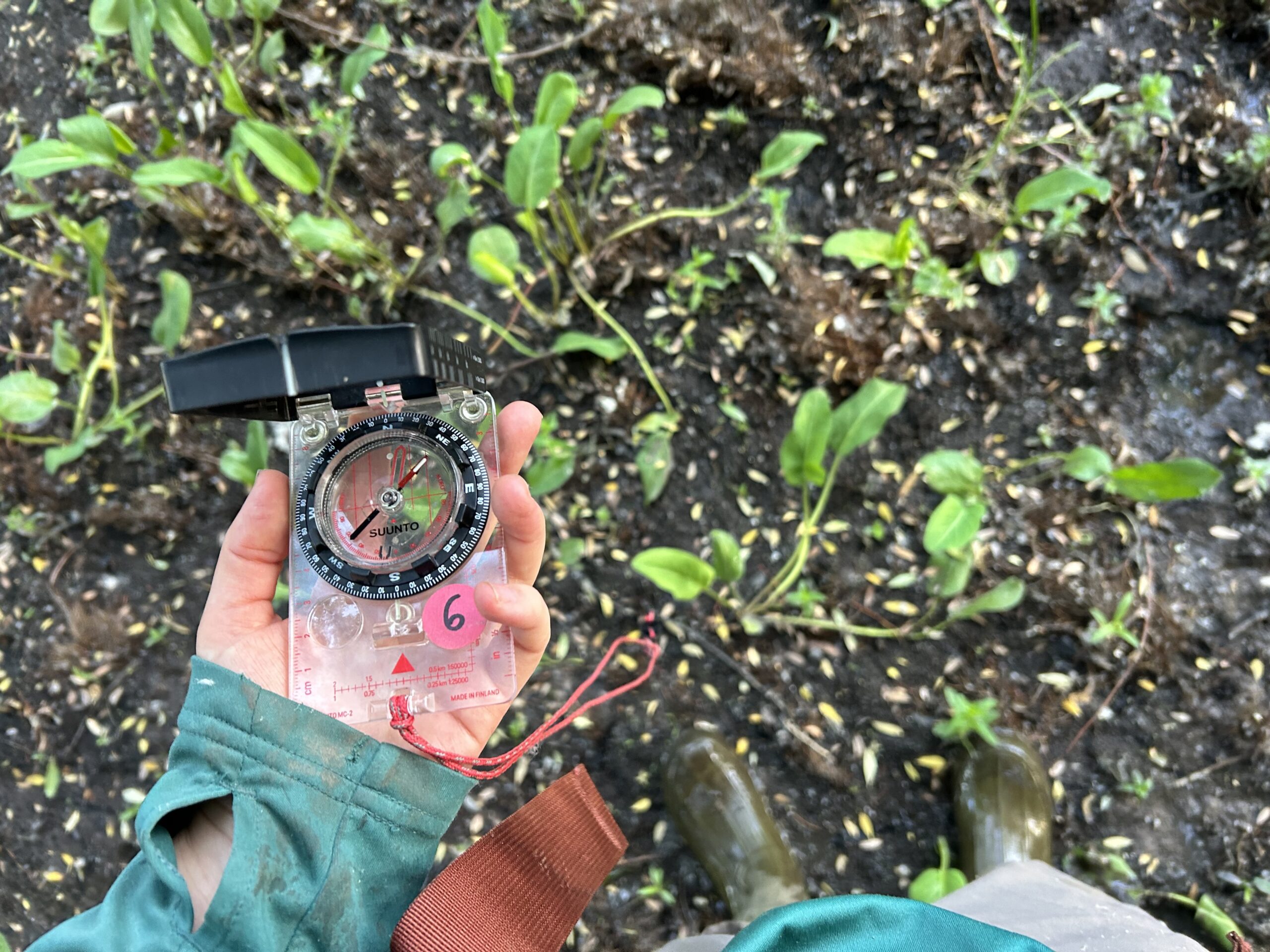 Update two: Navigating the Riparian Forest