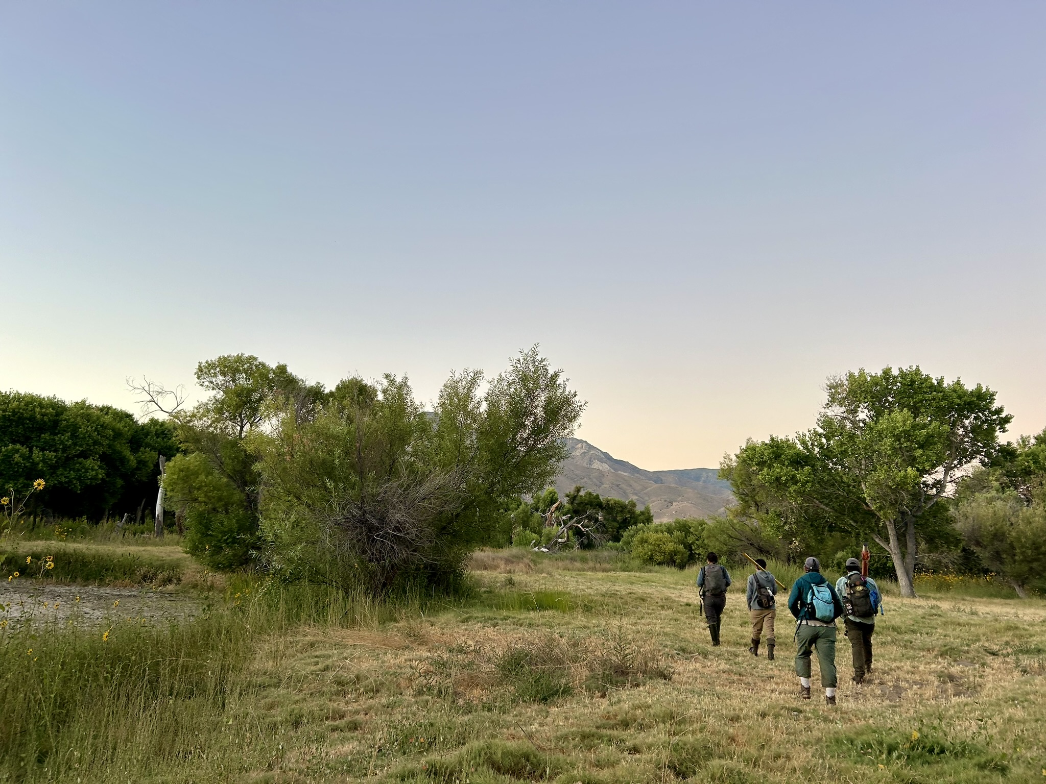 Update five: End of Season